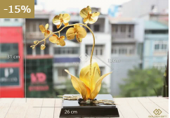 Hoa phong lan hồ điệp mạ vàng
